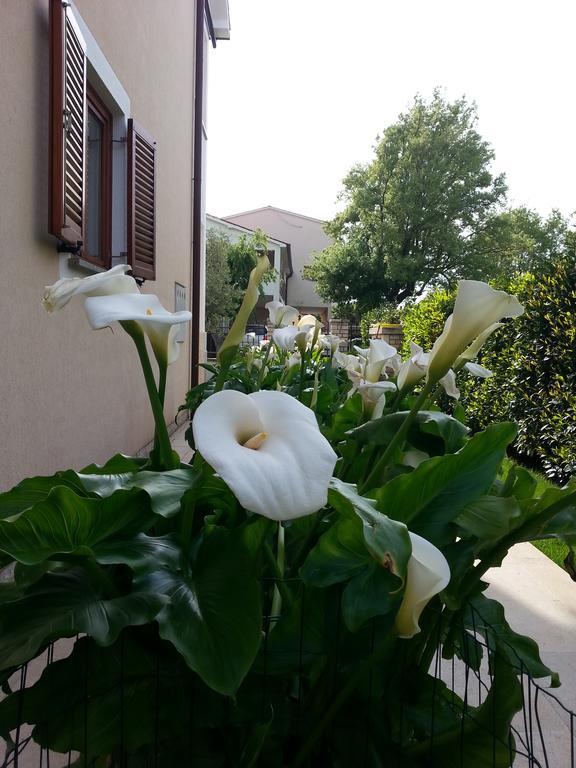 Ulika Rooms & Apartments Porec Luaran gambar