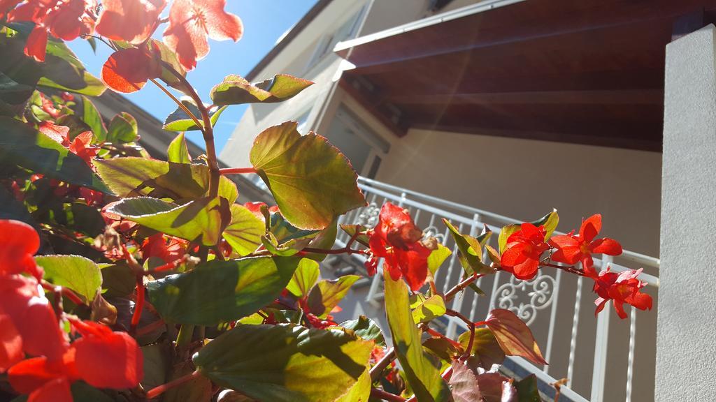Ulika Rooms & Apartments Porec Luaran gambar